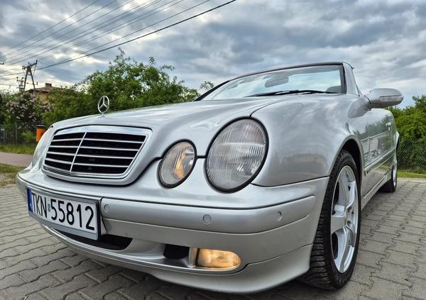 Mercedes-Benz CLK cena 21900 przebieg: 215283, rok produkcji 2002 z Końskie małe 254